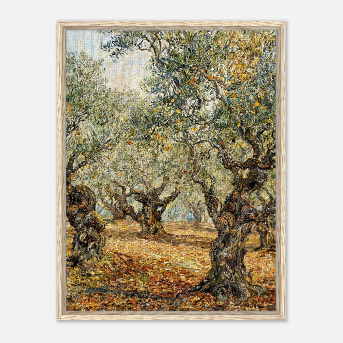 Sunlit Olive Grove Impressionist Art Print