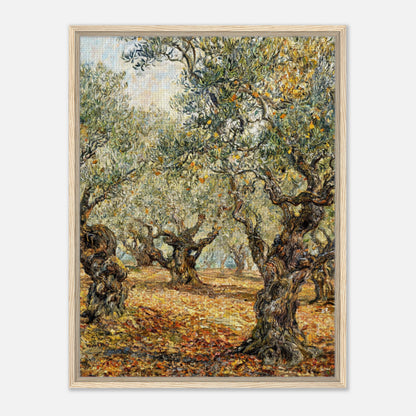 Sunlit Olive Grove Impressionist Art Print