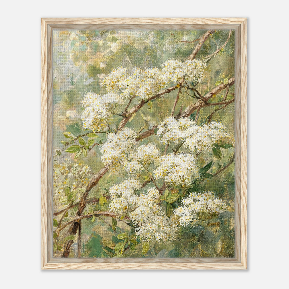 Impressionist White Blossom Branch Framed Canvas Wall Art