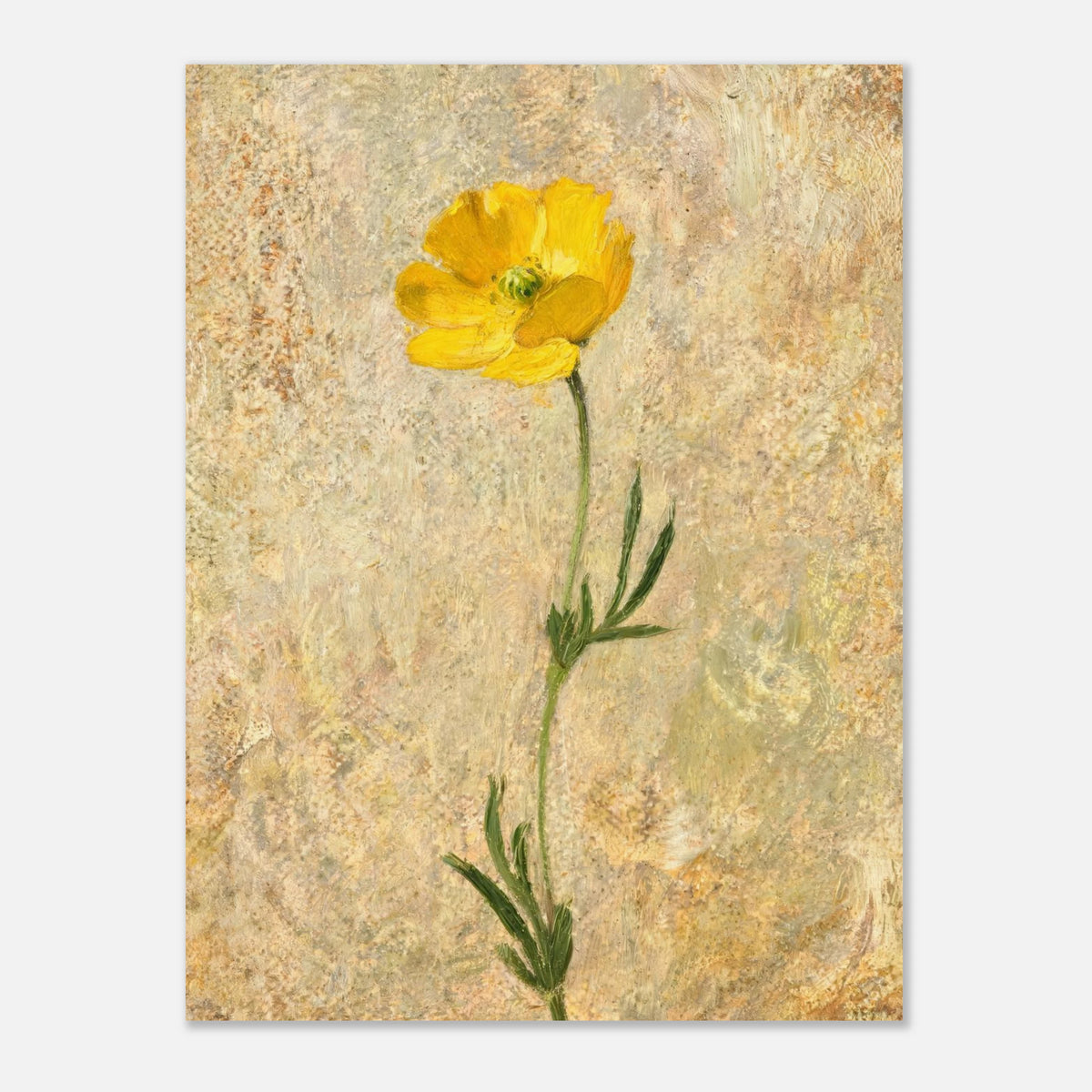 Solitary Yellow Wildflower Impressionist Art Print