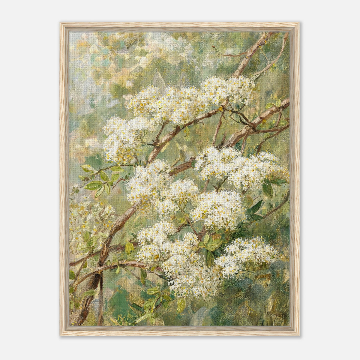 Blooming White Blossoms & Woodland Branches Impressionist Art Print