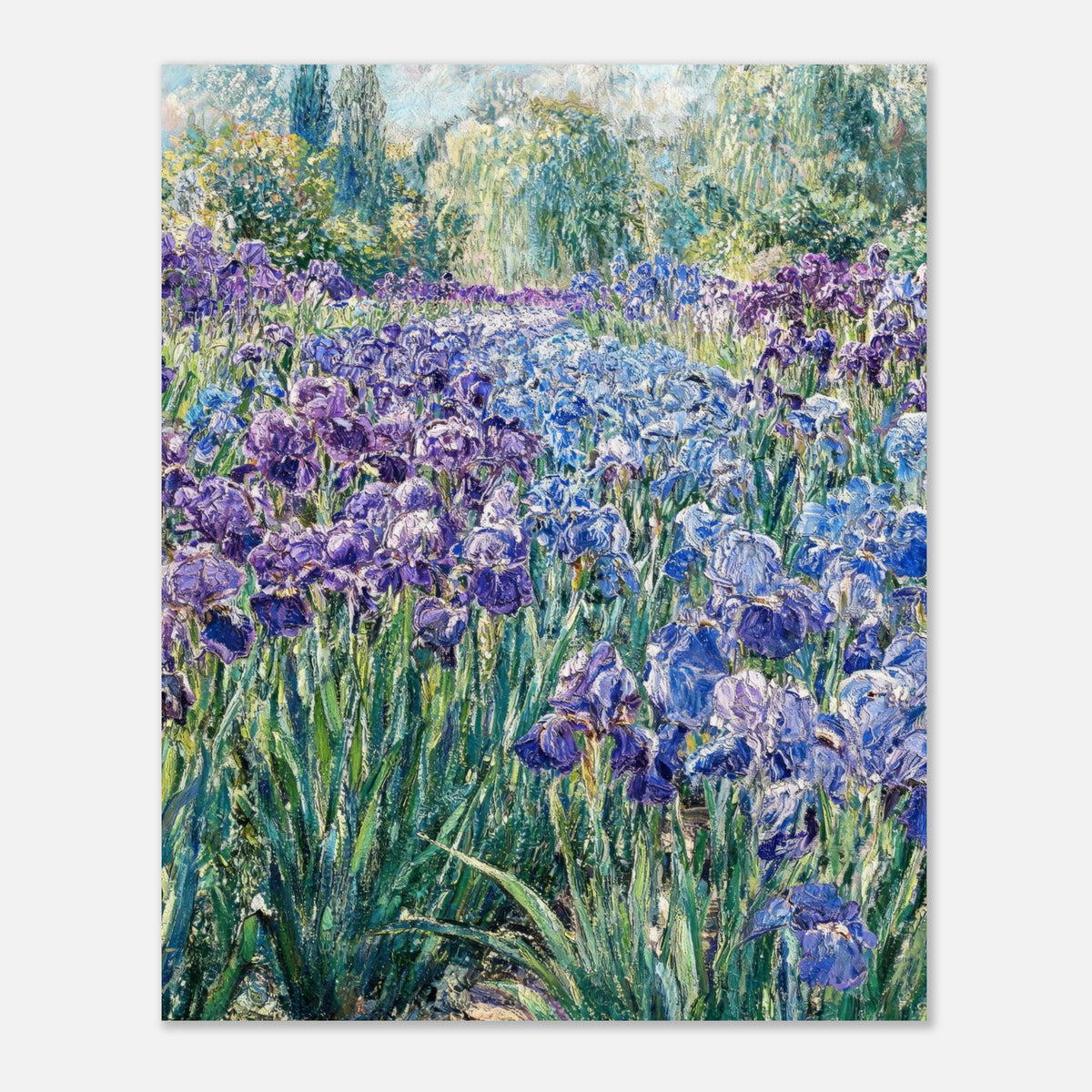 Monet's Iris Field Impressionist Garden Art Print