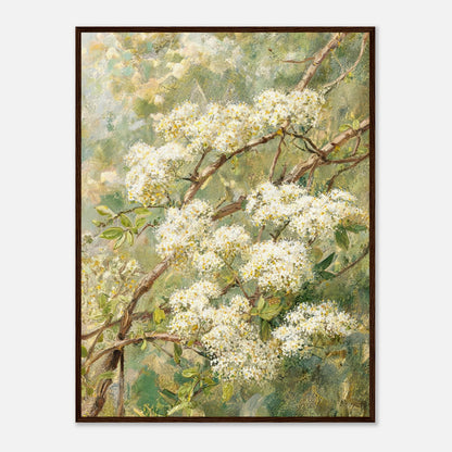 Blooming White Blossoms & Woodland Branches Impressionist Art Print