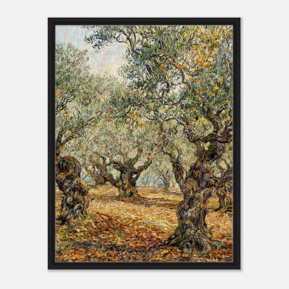 Sunlit Olive Grove Impressionist Art Print