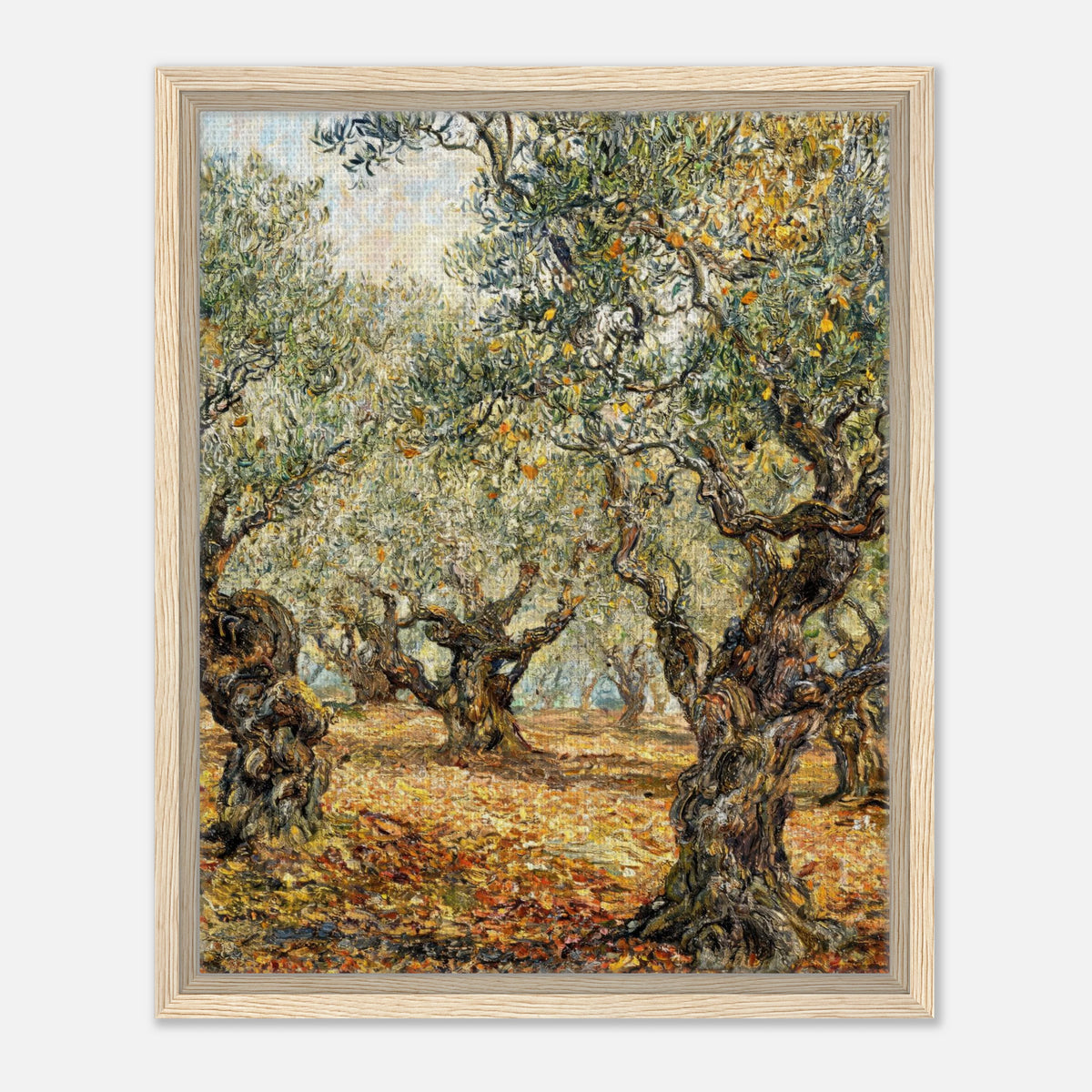 Sunlit Olive Grove Impressionist Art Print