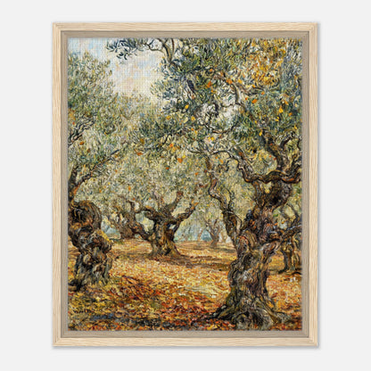 Sunlit Olive Grove Impressionist Art Print