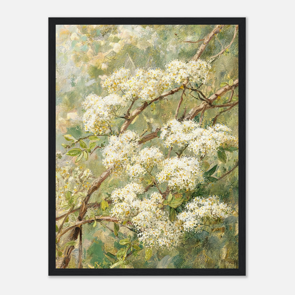 Blooming White Blossoms & Woodland Branches Impressionist Art Print