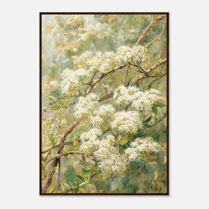 Blooming White Blossoms & Woodland Branches Impressionist Art Print