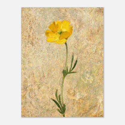 Solitary Yellow Wildflower Impressionist Art Print