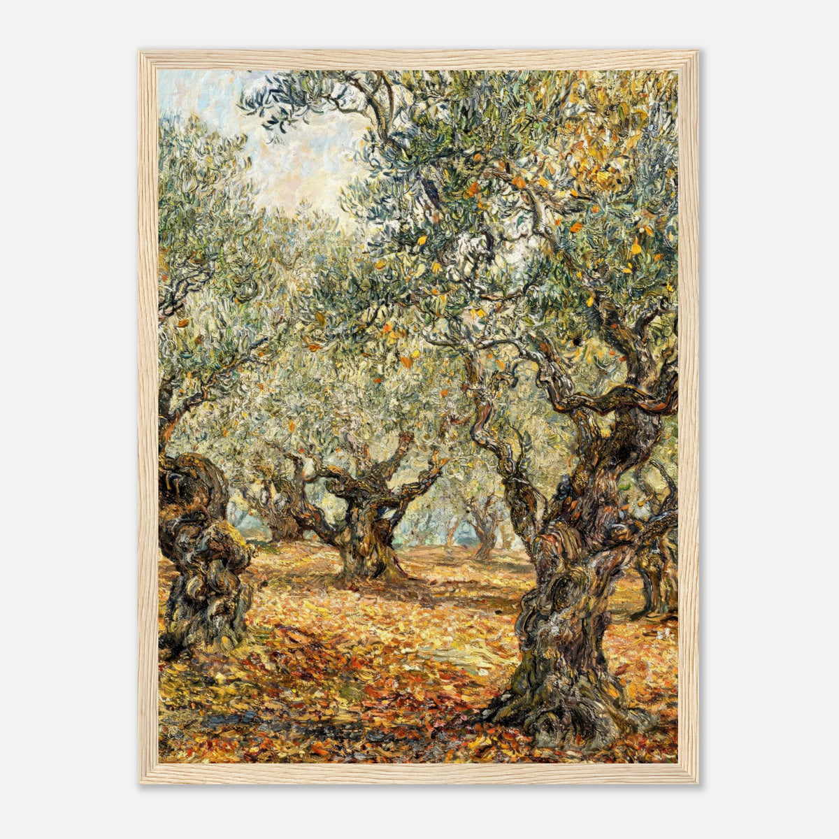 Sunlit Olive Grove Impressionist Art Print