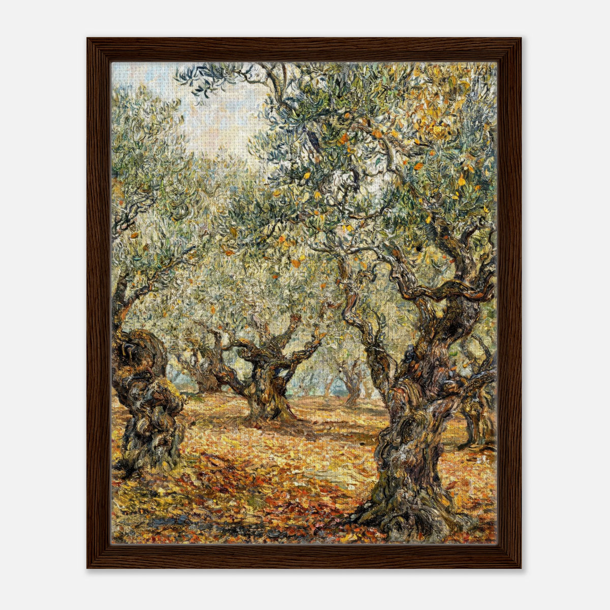 Sunlit Olive Grove Impressionist Art Print