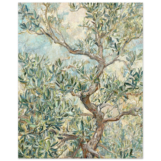 Fine art print of an Impressionist olive tree featuring gnarled branches, silvery-green leaves, and rich oil painting textures.