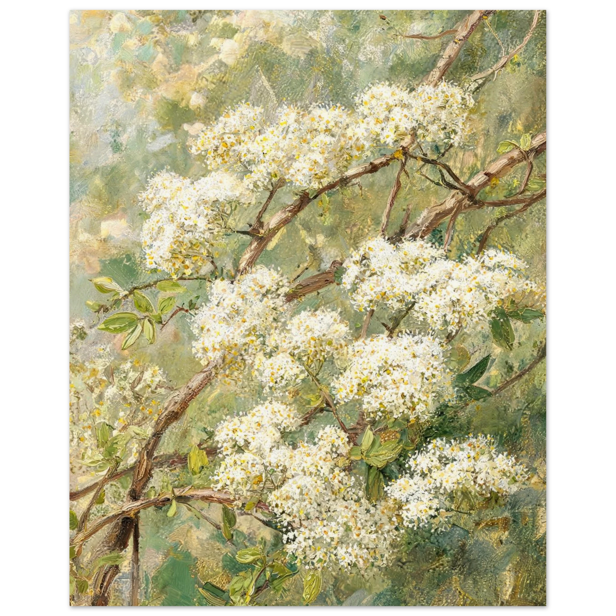 Fine art print of an Impressionist white blossom branch featuring delicate clusters of flowers against lush green foliage and rich oil painting textures.
