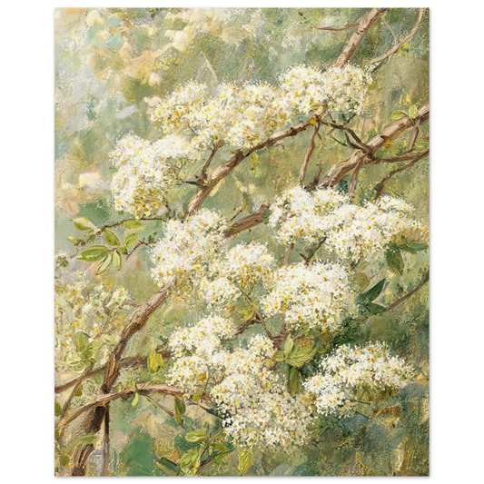 Fine art print of an Impressionist white blossom branch featuring delicate clusters of flowers against lush green foliage and rich oil painting textures.