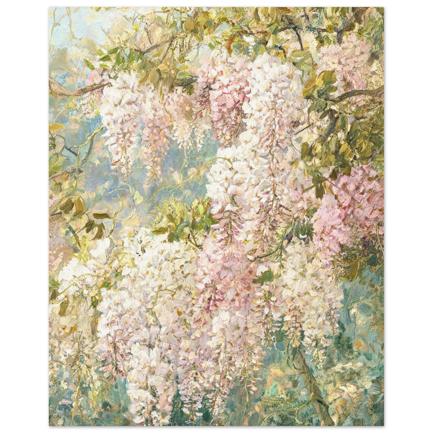 Fine art print of an Impressionist wisteria blossoms painting featuring cascading pink and white floral clusters and rich oil painting textures.