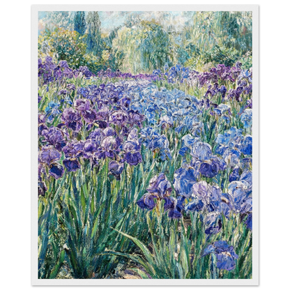 Vibrant Iris Garden Wooden Framed Poster | Vintstep